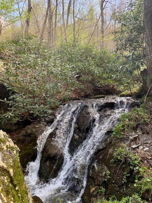 Blue Ridge Parkway Panoramic Paradise-60 Mile View Fancy Gap Eksteriør bilde